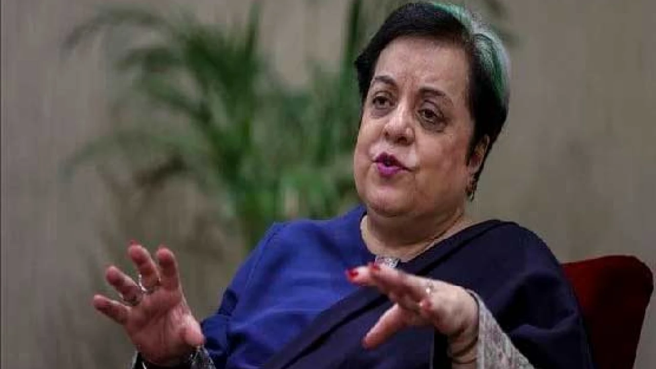 IHC orders to remove Shireen Mazari's name from ECL
