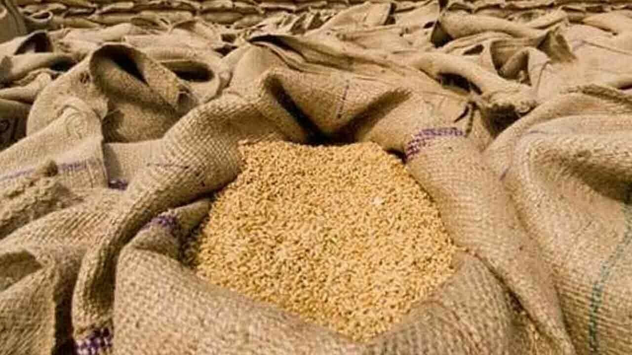 پنجاب میں گندم خریداری مہم کا آغاز 13 اپریل سے شروع