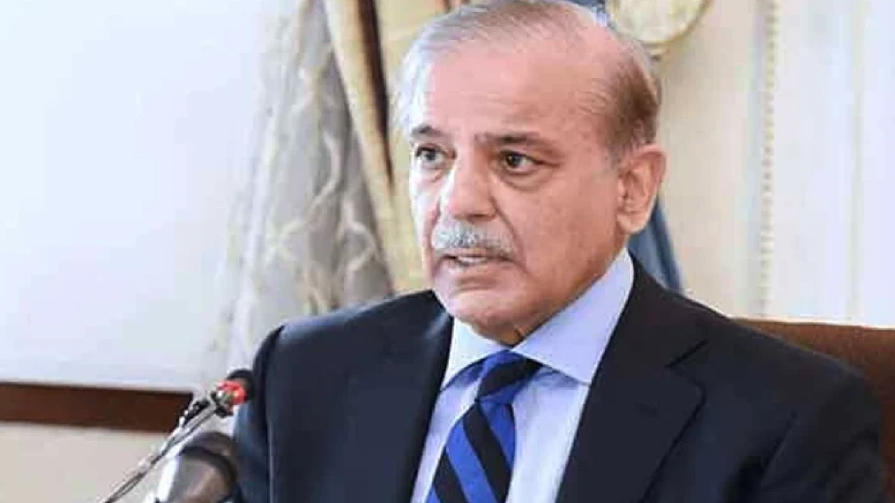 PM Shehbaz claims govt determines to stop power theft 