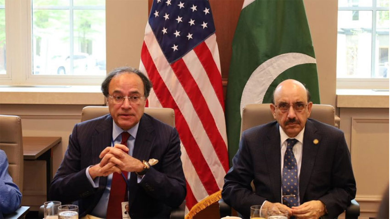 وزیر خزانہ  کی واشنگٹن ڈی سی میں امریکہ پاکستان بزنس کونسل کے وفد سے ملاقات