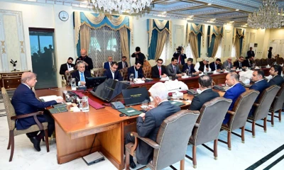 PM urges increased renewable energy resources to cut oil imports bill