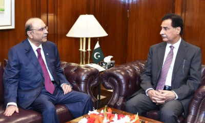 صدر مملکت آصف علی زرداری سے سپیکر قومی اسمبلی سردار ایاز صادق کی ملاقات