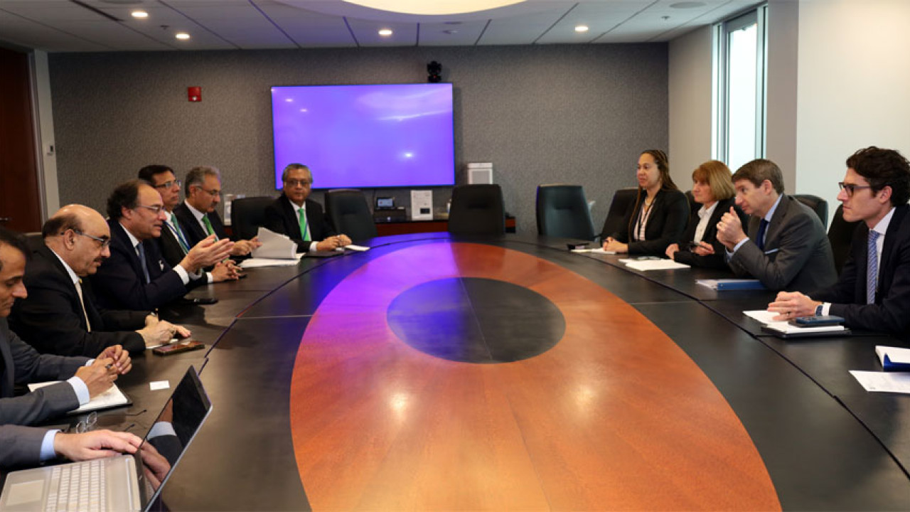 وزیر خزانہ کی واشنگٹن میں ڈویلپمنٹ فنانس کارپوریشن کے چیف ایگزیکٹو  سے ملاقات