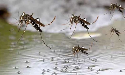 Health experts express fear of dengue after rains, floods in KP