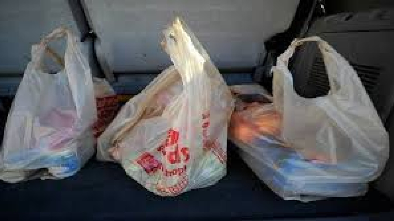 پنجاب میں 5 جون سے پلاسٹک  بیگز  کے  استعمال پر پابندی عائد