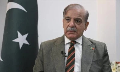 Shehbaz Sharif issues message on Chinese language day
