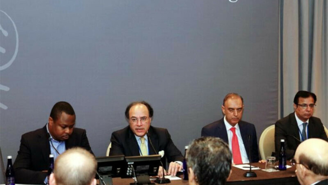 پاکستان آئی ایم ایف کے اصلاحاتی پروگرام میں شامل ہونا  چاہتا ہے ، وزیر خزانہ