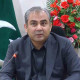 وفاقی وزیر داخلہ  محسن نقوی  کی  ڈیرہ اسماعیل خان میں  کسٹم اہلکاروں  پر فائرنگ کی شدید مذمت