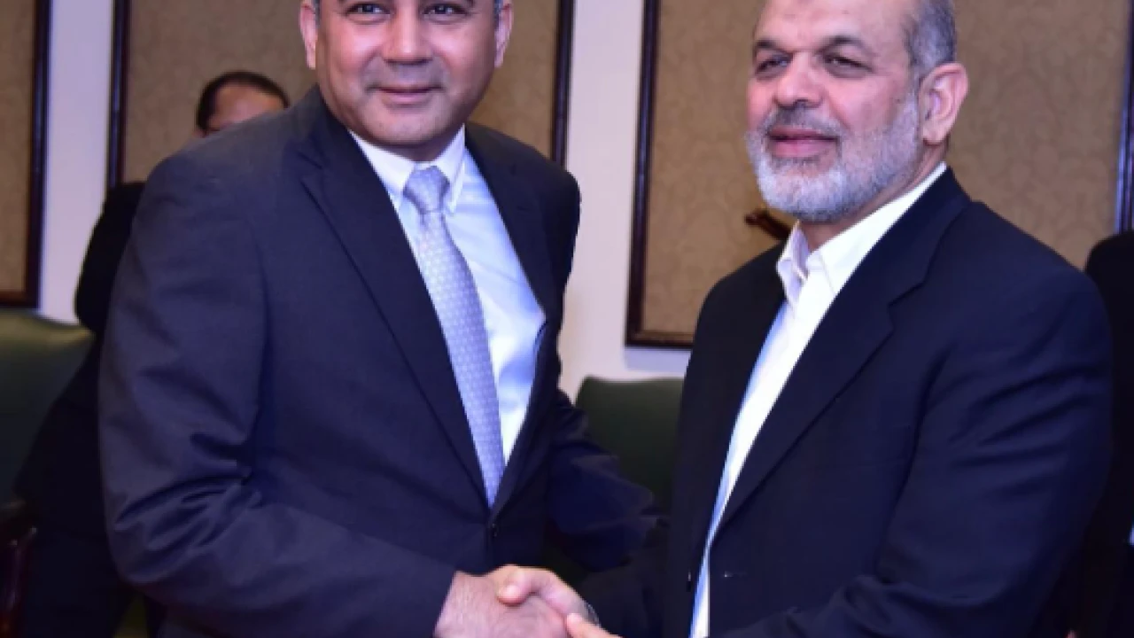 Interior Minister Naqvi meets his Iranian counterpart Vahidi