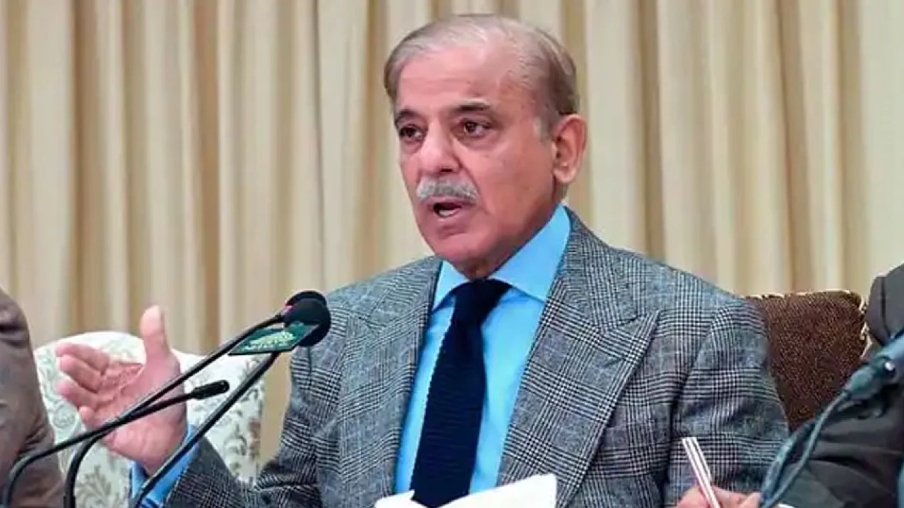 PM Shehbaz suggested reaching out to Imran Khan, India