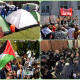 امریکہ   : جامعات میں غزہ میں ہو نے والی اسرائیلی جارحیت کے خلاف مظاہرے ، طلباء گرفتار