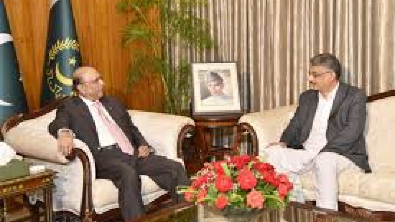 صدر آصف علی زرداری کی وزیر اعظم آزاد کشمیر انوارلحق سے ملاقات