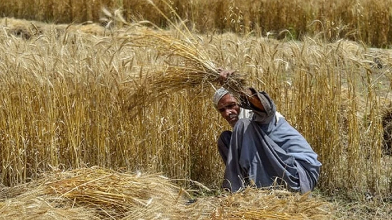 Punjab govt fails to fix proposals on subsidy to small farmers
