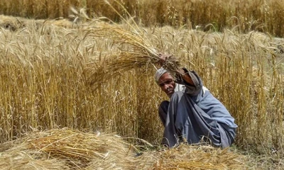 Punjab govt fails to fix proposals on subsidy to small farmers