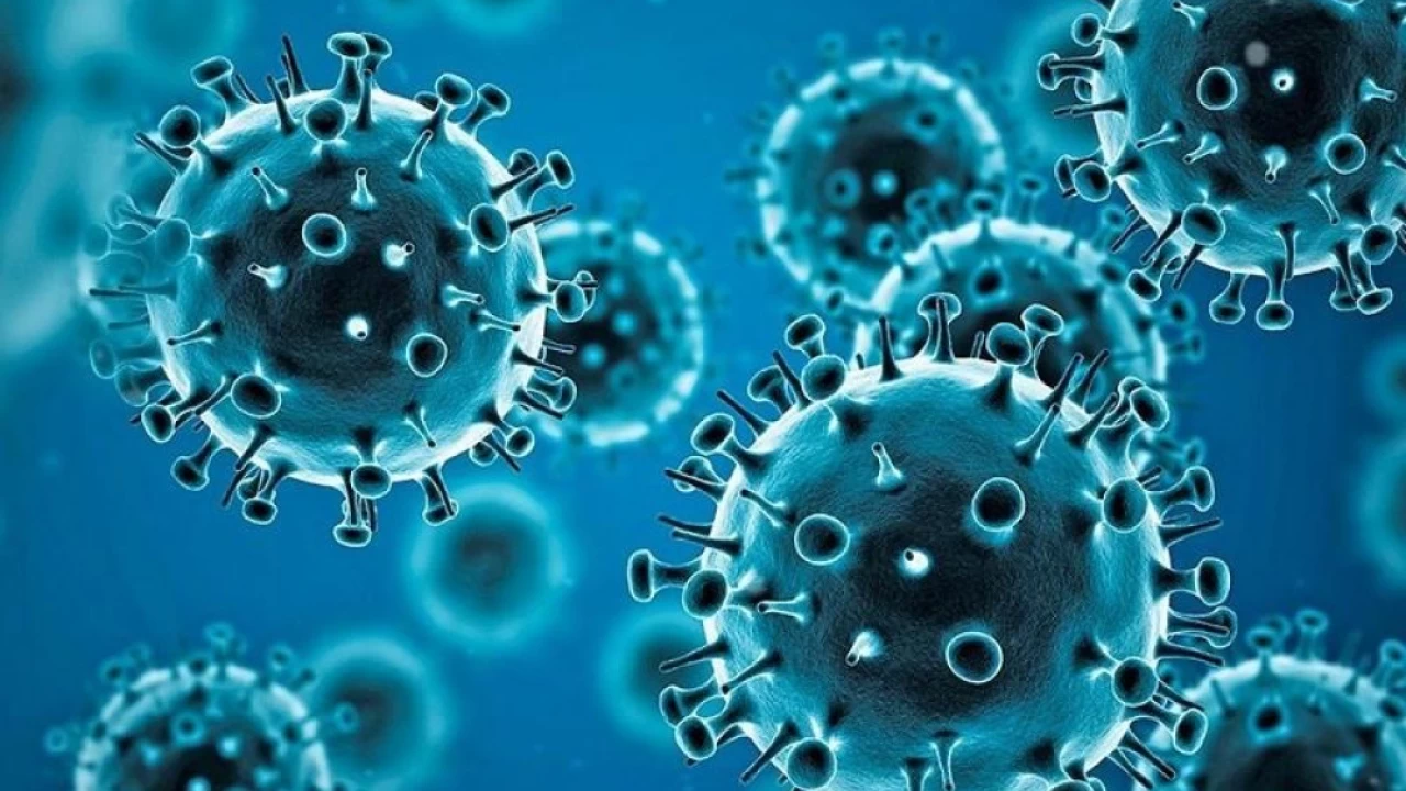 Pakistan sees spike in coronavirus as 370 cases reported in 24 hours