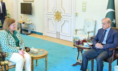 وزیر اعظم شہباز شریف کی اٹلی کی سفیر  ماریلینا ارمیلن سے ملاقات