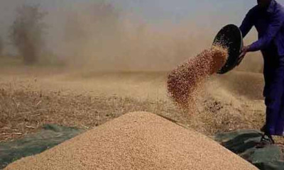 کیا پنجاب حکومت   کسانوں سے گندم خریدنے کی  صلاحیت رکھتی ہے ؟