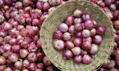 Import of Indian onion reduces price by 50pc 