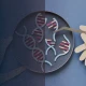 The one huge obstacle standing in the way of progress on gene-editing medicine