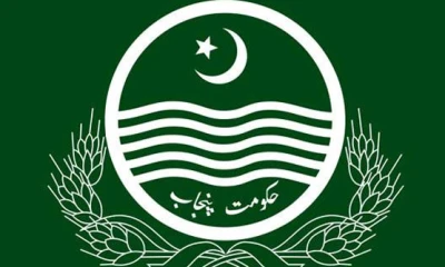 Punjab removes 29 law officers from posts