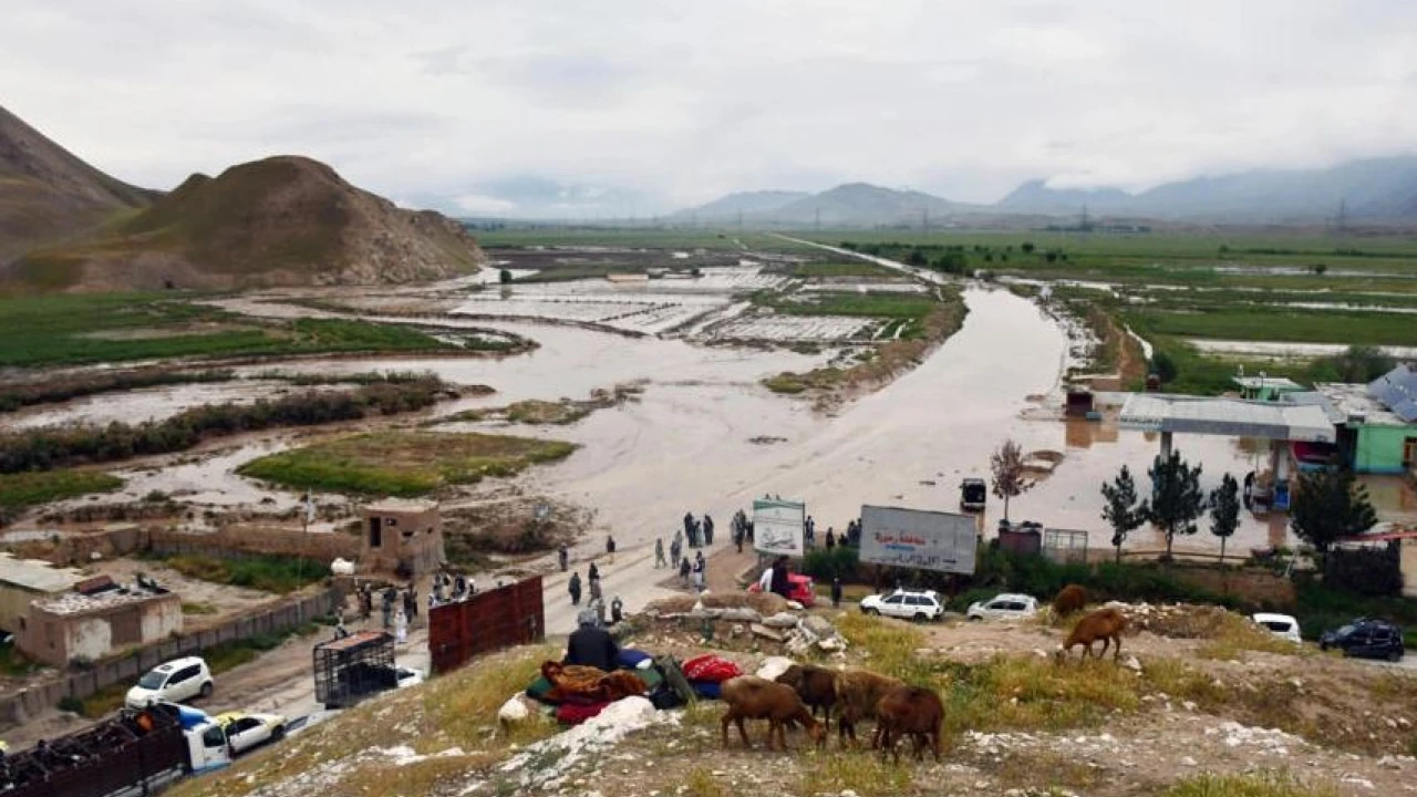 Afghanistan floods leave over 200 dead, thousands homeless: UN