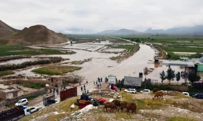 Afghanistan floods leave over 200 dead, thousands homeless: UN