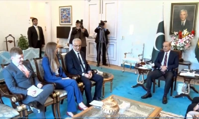 PM, British envoy discuss bilateral issues