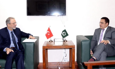 Pakistan, Turkiye vow to further solidify their economic ties