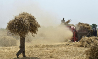 پنجاب حکومت کا کسانوں کو کسان کارڈ دینے کا فیصلہ