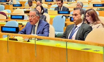 Pakistan affirms support of OIC for Bosnia & Herzegovina's unity