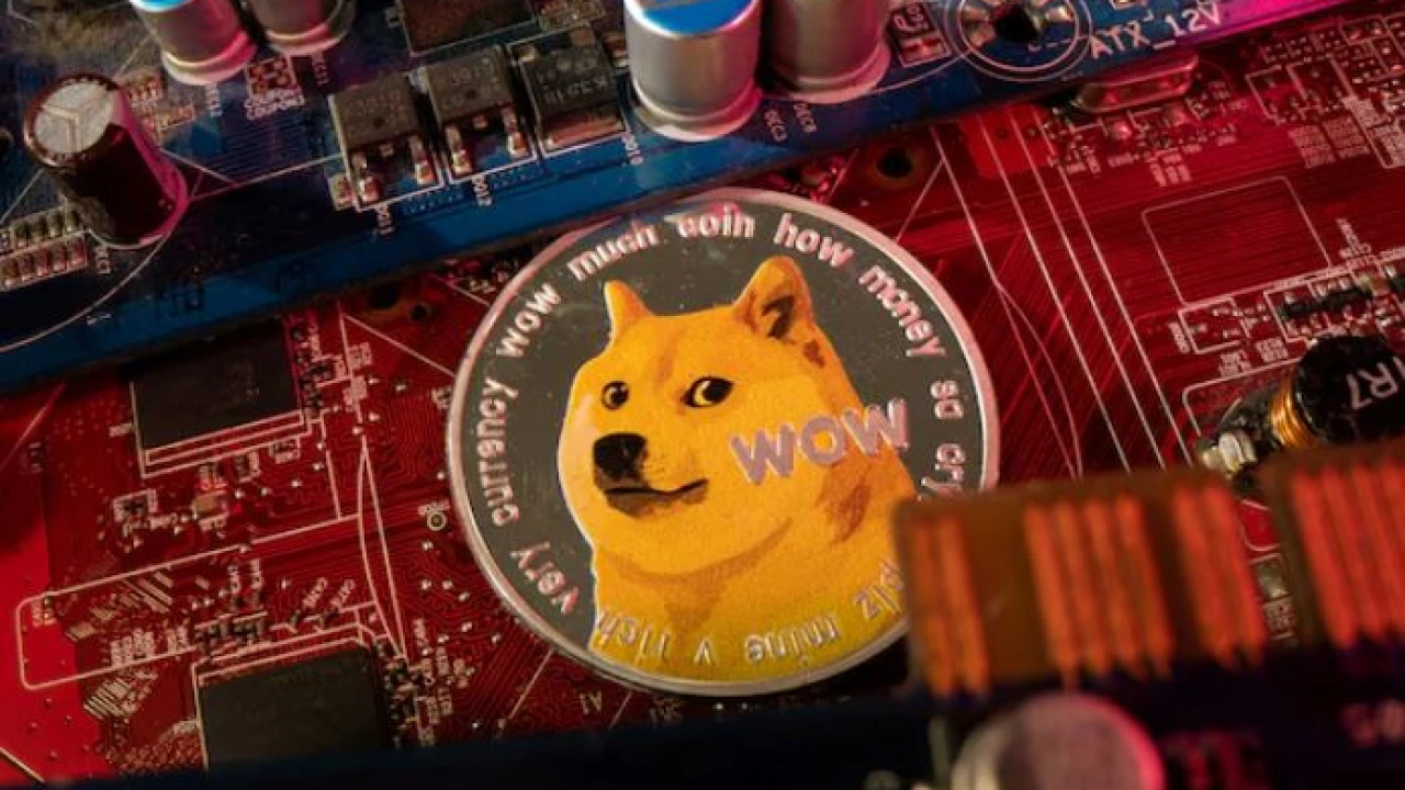 Kabosu, the face of cryptocurrency Dogecoin, dies at 18, owner says