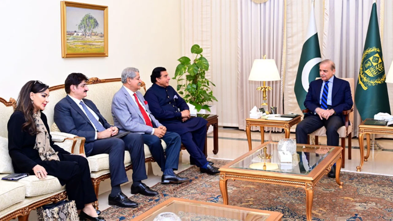 PM Shehbaz, PPP delegation discuss political situation