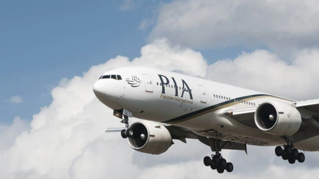 Six companies pre-qualified for PIA privatisation bidding