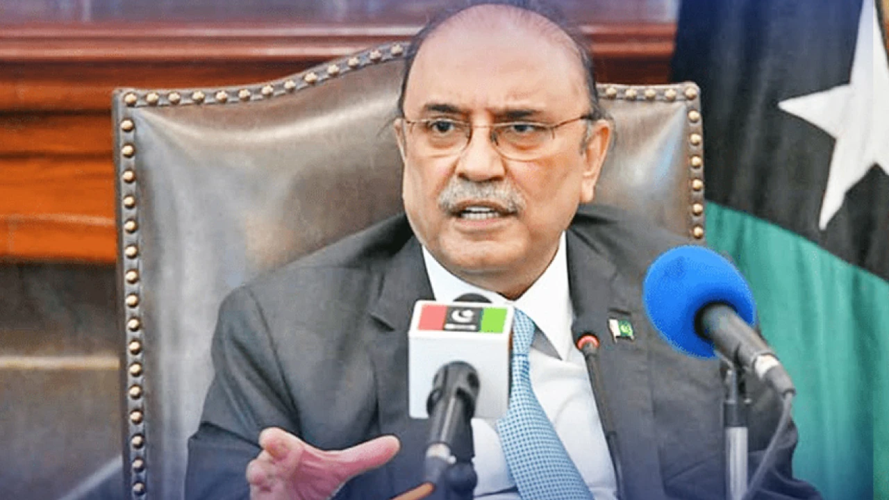 President Zardari forms 13-member National Economic Council