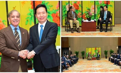 PM invites Shaanxi’s enterprises to invest in Pakistan