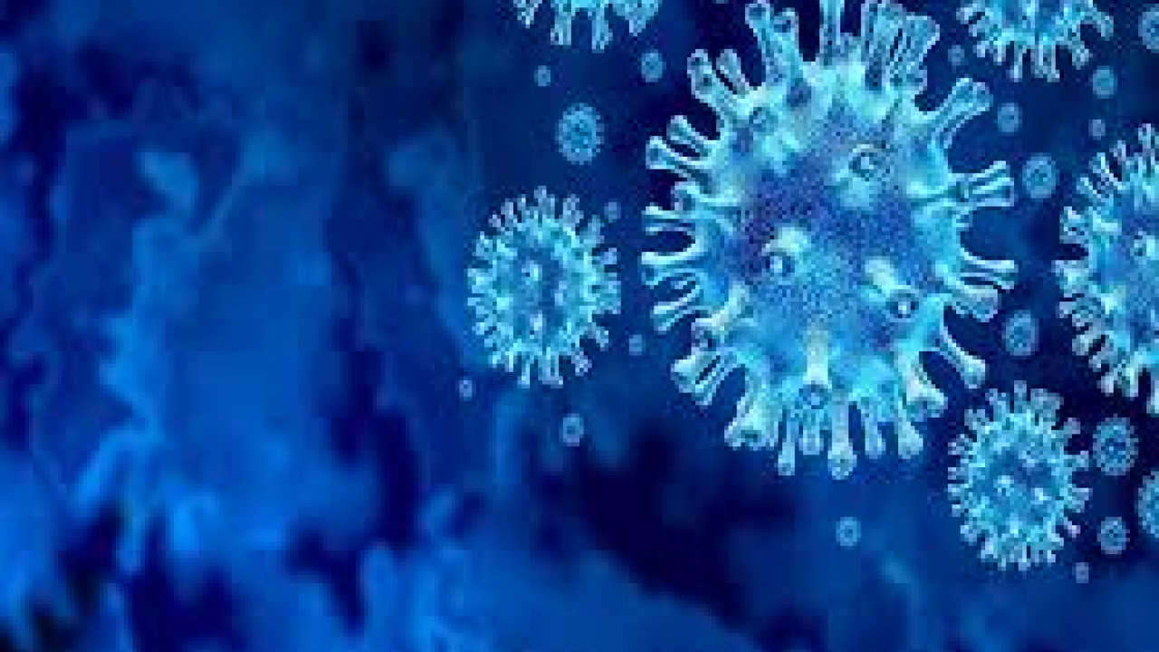 پاکستان میں خطرناک وائرس کے پھیلاؤ کا خدشہ