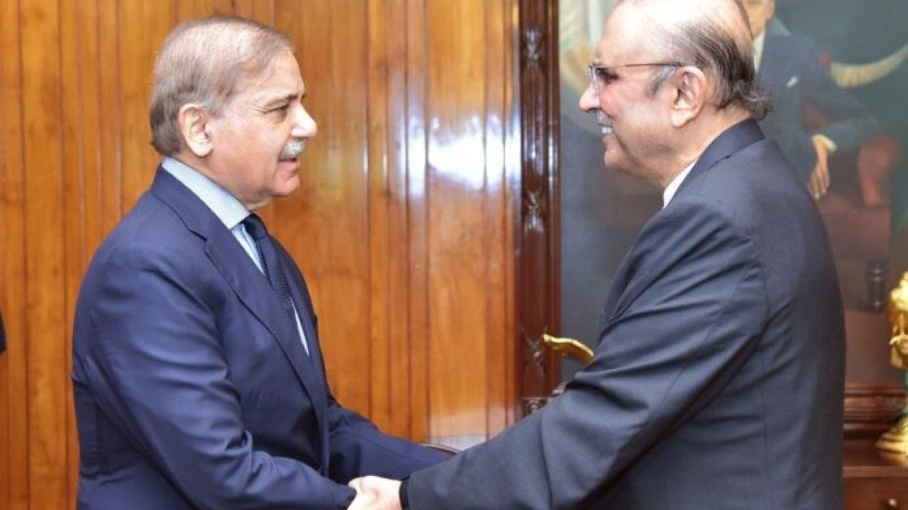 صدر مملکت آصف علی زرداری سے وزیر اعظم  شہباز شریف کی ملاقات