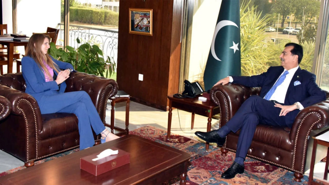 Senate Chairman, British envoy discuss bilateral relations