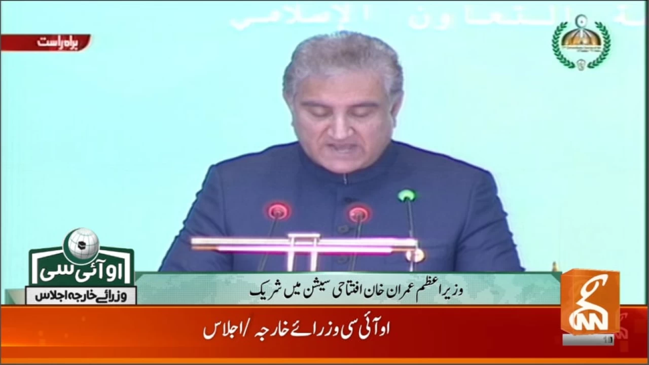 Our voice reached the world, says Foreign Minister Shah Mehmood Qureshi
