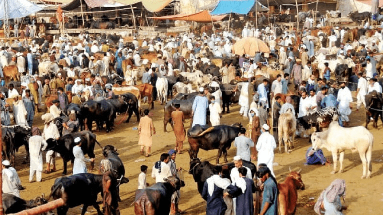 فیصل آبا د: مویشی منڈی کے باہر ڈاکو  تاجروں سے ایک کروڑ روپے لے کر فرار
