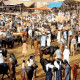 فیصل آبا د: مویشی منڈی کے باہر ڈاکو  تاجروں سے ایک کروڑ روپے لے کر فرار