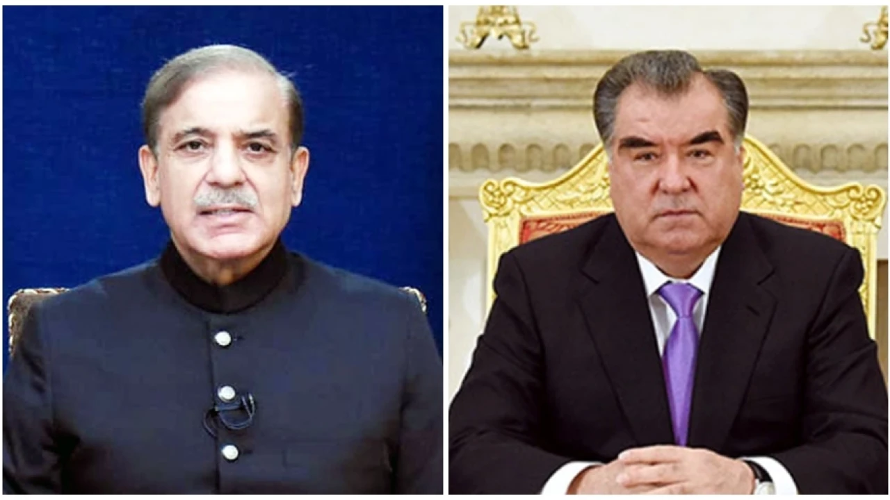 PM, Tajik President discuss upcoming SCO Summit in Astana