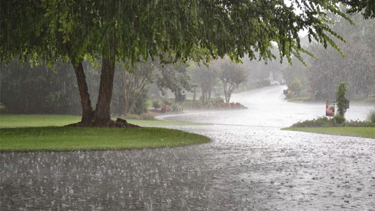 Rain likely in East Punjab, Potohar, Upper KP