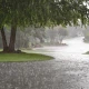 Rain likely in East Punjab, Potohar, Upper KP