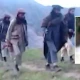 Banned TTP leader killed in Afghanistan