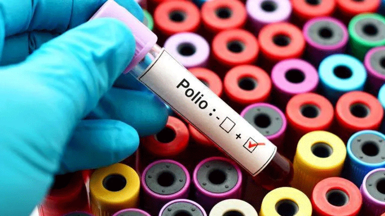 Polio detected in nine more environmental samples