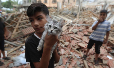 غزہ میں صہیونی جارحیت سے 21 ہزار بچے لاپتہ ہو گئے