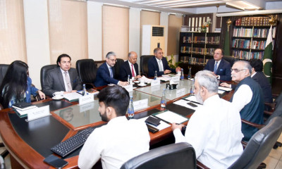 پاکستان بزنس کونسل کے  وفد کی وزیر خزانہ سے ملاقات