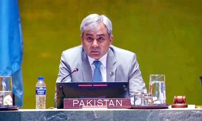 Pakistan committed to peacekeeping partnership: Naqvi