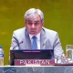 Pakistan committed to peacekeeping partnership: Naqvi